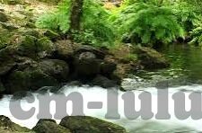 2018伦理不卡免费-2018，伦理边界的微妙探索与数字时代的免费浪潮